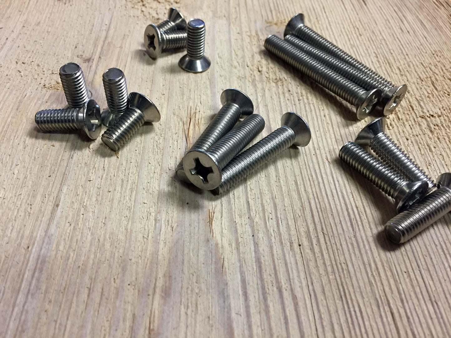 Flat Head M8 Torx or Philips